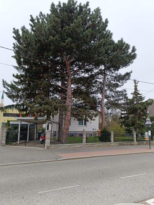 Grundstück mit Bastlerhaus