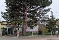 Grundstück mit Bastlerhaus