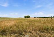 Wald- und landwirtschaftliche Fläche mit 20 370 m² in Untermallebern zu verkaufen!
