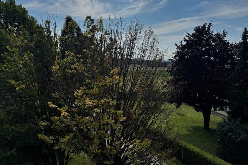 Anleger aufgepasst - Sanierungsbedürftige Wohnung in Leonding, Wohnung-kauf, 4060 Linz-Land