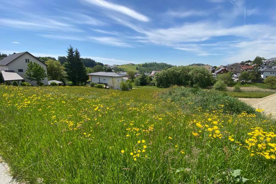 Kein Bauzwang - Baugrund mit Aussichtslage, Grund und Boden-kauf, 215.000,€, 4201 Urfahr-Umgebung