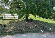 ***Ruhig wohnen! Wohnung mit toller Terrasse und Garage Nähe Pleschingersee!***