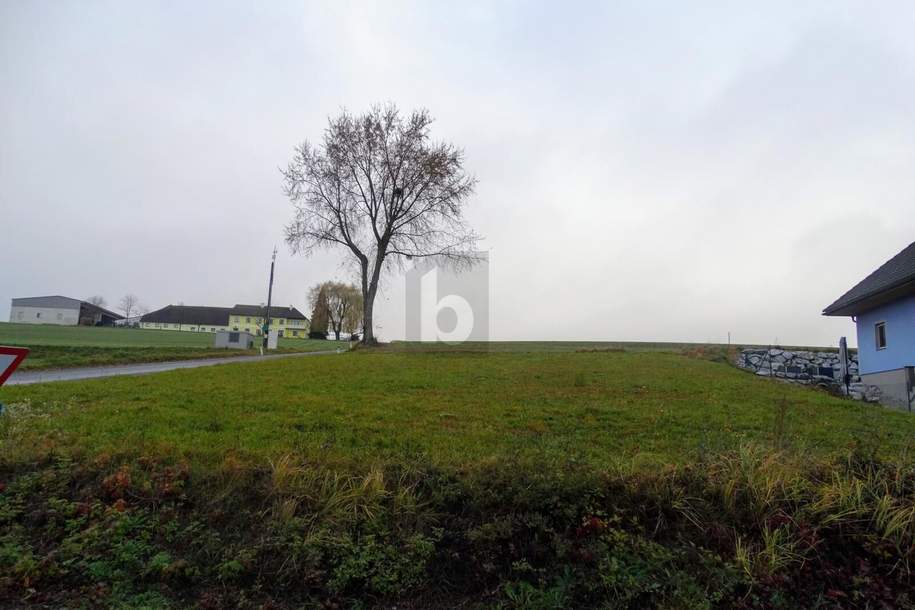 SONNIGE UND RUHIGE LAGE NAHE MELK?, Grund und Boden-kauf, 95,€, 3392 Melk