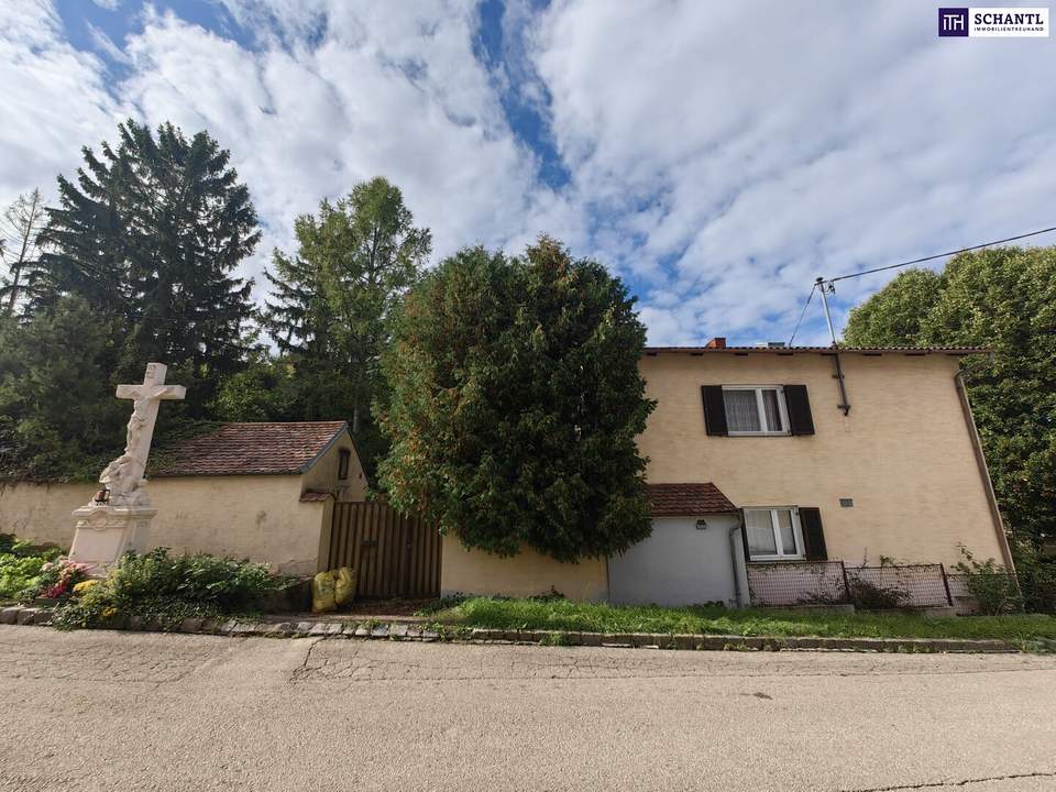 Ein Platz für echte Landliebhaber - und ein Paradies für Selbermacher! Verwirklichen Sie Ihren Wohntraum in idyllischer Umgebung von Sitzendorf