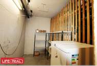 Top Wohnung im Biesenfeld