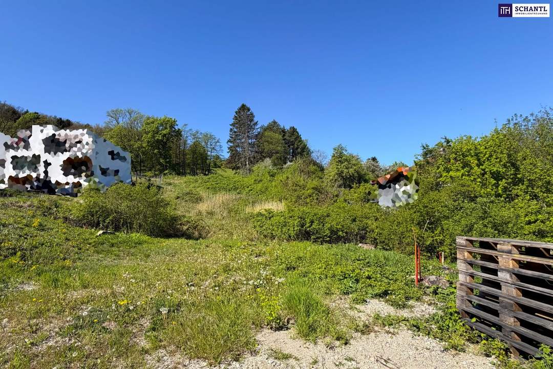 Sonnige Liegenschaft mit Entwicklungspotenzial in Klosterneuburg