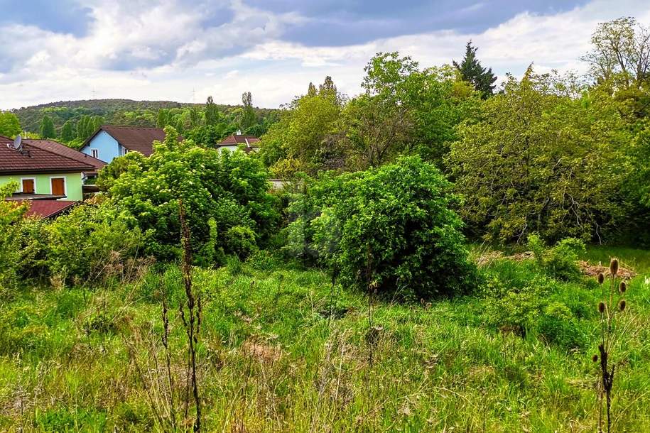 Preisreduktion! WEITBLICK INS GRÜNE - VON VILLA BIS ZWEI DOPPELHÄUSER MÖGLICH, Grund und Boden-kauf, 390.000,€, 2751 Wiener Neustadt(Land)