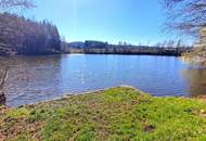 Haus mit Seeblick in grüner Ruhelage