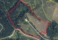 Scheibengrundstück mit Altbestand in Kranach, Gemeinde Gamlitz