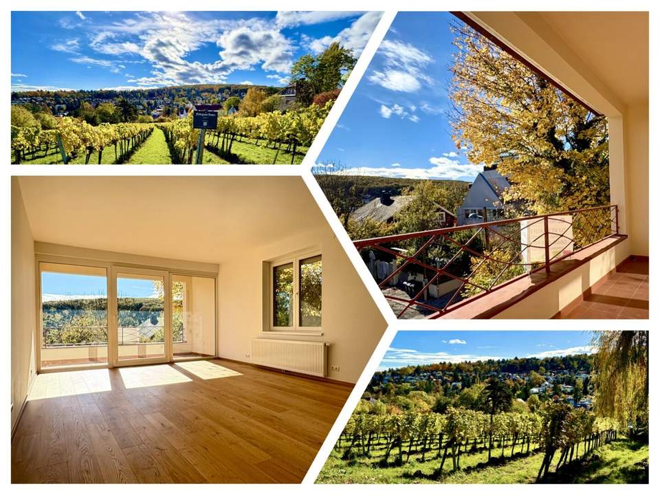 EINE DER SCHÖNSTEN LAGEN WIENS! SALMANNSDORFER ERSTBEZUG MIT 4 ZIMMERN UND GARAGE