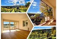 EINE DER SCHÖNSTEN LAGEN WIENS! SALMANNSDORFER ERSTBEZUG MIT 4 ZIMMERN UND GARAGE