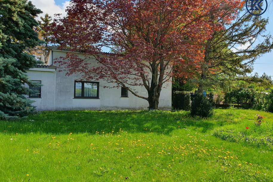 Ein Haus für kreative Köpfe, Haus-kauf, 650.000,€, 1220 Wien 22., Donaustadt