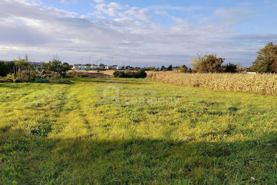 Baugrundstück mit unverbaubarem Fernblick - wunderbare Grünruhelage!, Grund und Boden-kauf, 369.000,€, 7111 Neusiedl am See