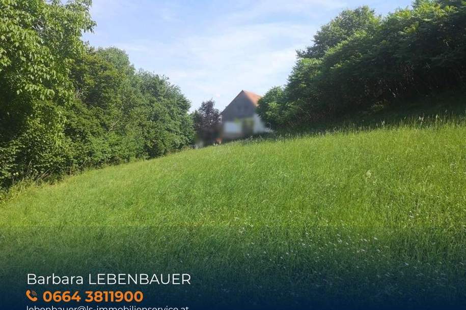 Sonniges Baugrundstück mit Aussicht im Naturpark Pöllauer Tal – nahe Hartberg, Grund und Boden-kauf, 49.900,€, 8225 Hartberg-Fürstenfeld
