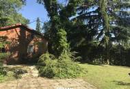 Natur pur - Holzblockhaus eingebettet in sonniger Ruhelage