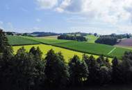 Exklusives Wohnjuwel im Grünen – Stilvoll leben in Niederwaldkirchen