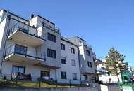 Mitten im Grünen beim Hörndlwald - Top Terrassenwohnung