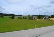 Großzügiges Grünland *NEUER PREIS* Vorsorgepotenzial in Voitschlag