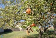 GRAFENSULZ - Das Besondere lieben - Typisches Weinviertler Bauernhaus – sorgfältig saniert, mit großem Garten in ruhiger Lage