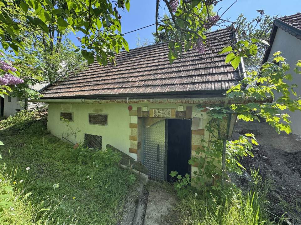 Weinkeller mit Freifläche und Weingarten – Ihr Projekt für nur 19.990 €!