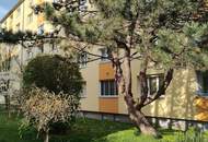 3 Zimmer + Küche + Lift + Loggia