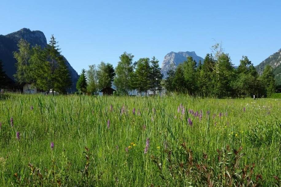 Ebensee: 2 sonnige Grundstücke mit je ca. 610m² - in Seenähe!, Grund und Boden-kauf, 323.035,€, 4802 Gmunden
