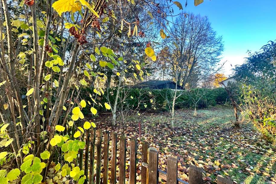 Mehr als nur Grund: ein Ort mit Zukunft!, Grund und Boden-kauf, 110.000,€, 2130 Mistelbach