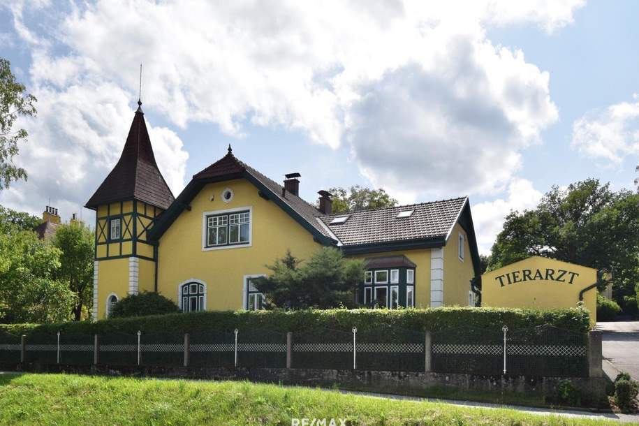 Exklusive Rarität - Villa mit traumhaftem Garten und Ordination, Haus-kauf, 949.000,€, 3910 Zwettl