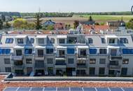 Sonnendurchflutetes Dachgeschossjuwel mit Gartenblick & Nähe zur Lobau