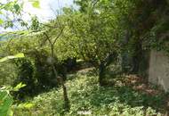 Charmantes Einfamilienhaus mit großem Naturgarten, Gewölbekeller und herrlichem Ausblick
