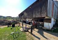NEUER PREIS! GROSSARTIGE PFERDERANCH IN DER GRÜNEN STEIERMARK! Ihr Paradies auf dem Land: Charmanter Reiterhof in traumhafter Lage!