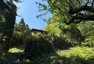 TOLLE FLÄCHE AM WOLFERSBERG MIT KLEINEM FERIENHAUS