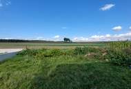 Familienhit –belagsfertige Doppelhaushälfte in schöner Lage