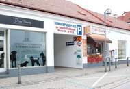 Provisionsfrei! Großes Geschäftslokal in Neunkirchen zu vermieten!