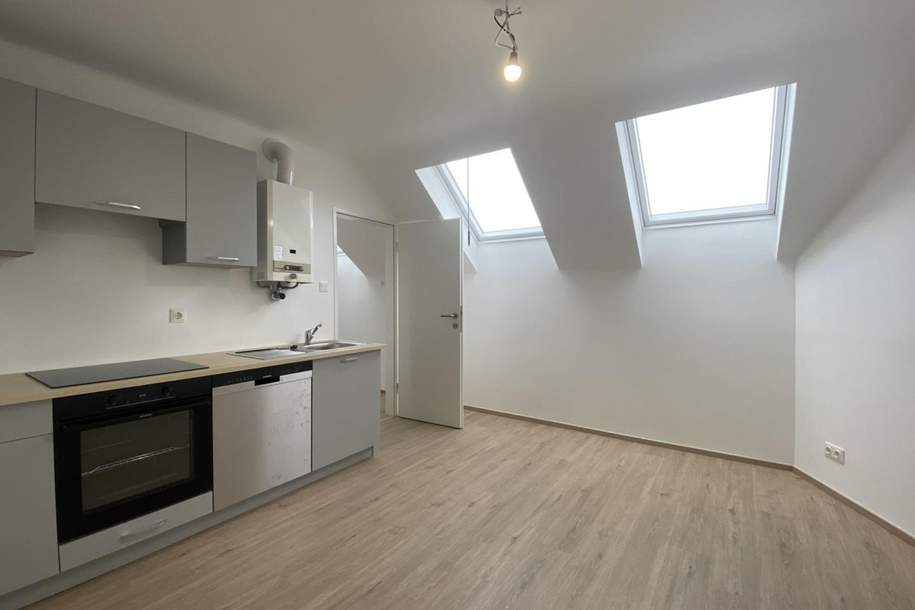 Frisch sanierte DG-Wohnung nahe AKH/U6, Wohnung-miete, 950,00,€, 1180 Wien 18., Währing