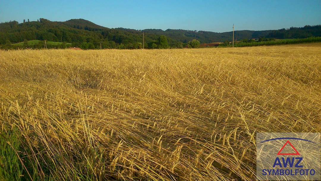 Großes ebenes Grundstück!