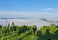 IN SLOWENIEN! Winzerhaus mit Weingarten und Blick bis zum Horizont!