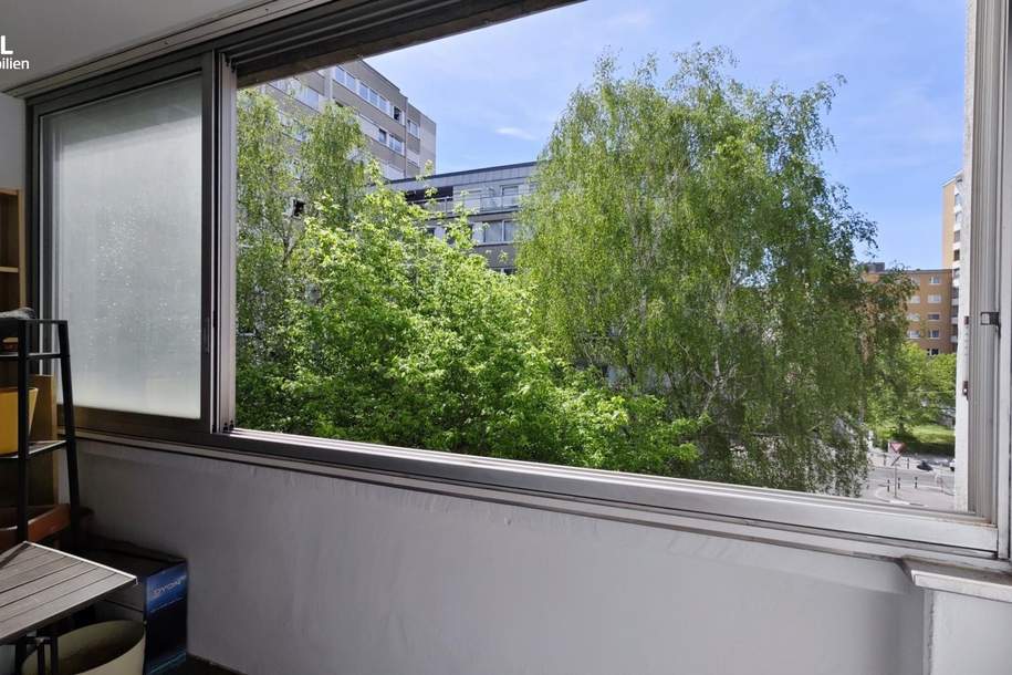 Gemütliche 2-Zimmer-Wohnung in Favoriten, Wohnung-kauf, 249.000,€, 1100 Wien 10., Favoriten