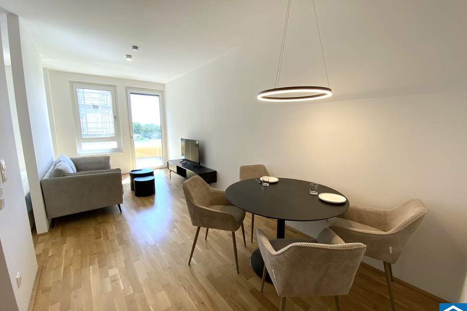 Möblierte Singlewohnung in Ruhelage und Citynähe, Wohnung-miete, 1.199,00,€, 1100 Wien 10., Favoriten