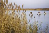"The Lagoon" - Modern - Nachhaltig - Elegant