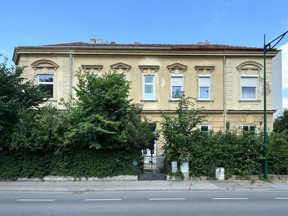"hohe Räume, toller Grundriss!"