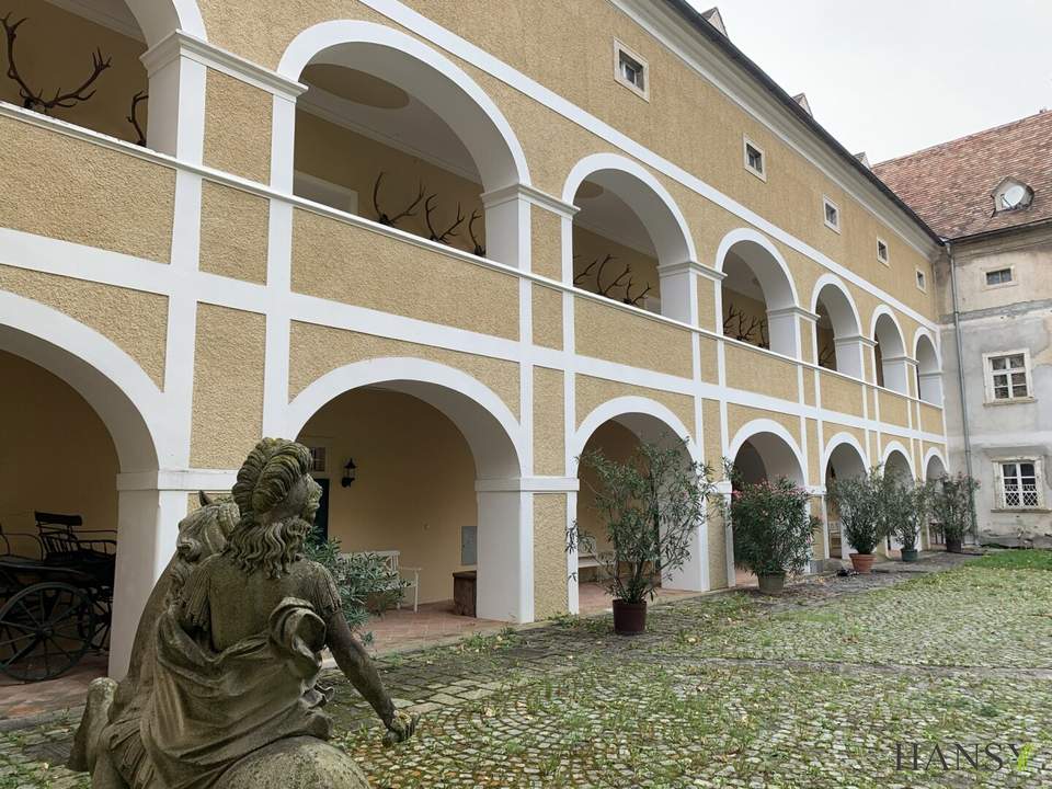 WOHNEN IM SCHLOSS mit idyllischem Parkblick, einem Pferdeparadies und traumhafter Umgebung