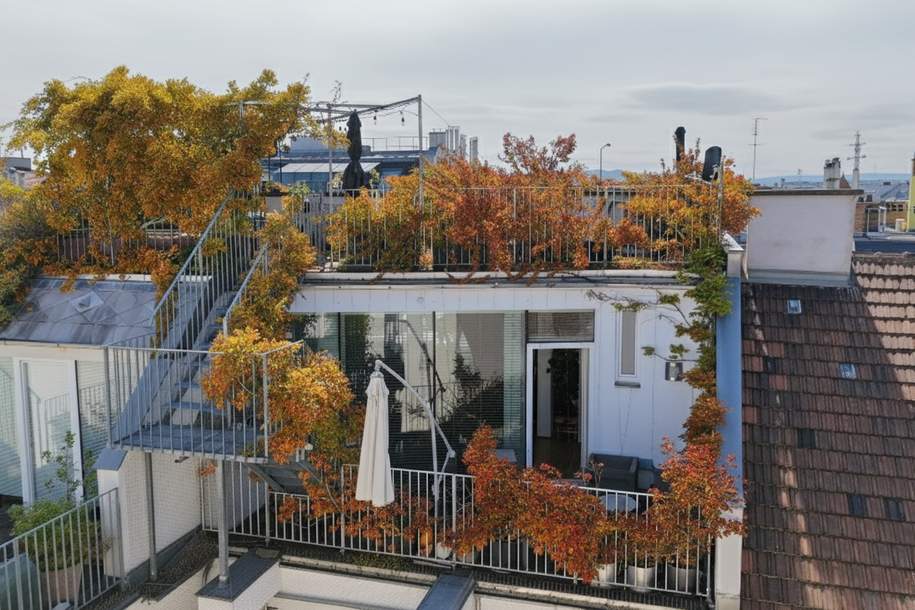Dachgarten/terrasse mit Blick über Wien I Johann Strauß Gasse I Stellplätze im Haus verfügbar I, Wohnung-kauf, 1.395.000,€, 1040 Wien 4., Wieden