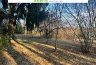 Großzügiges Grundstück in Spattendorf - Gemeinde Alberndorf in der Riedmark (GST 2443/1)