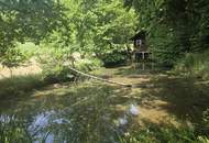 Bauernhaus (stark sanierungsbedürftig) mit viel Grund und kleinem Teich