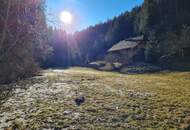 Natur pur und viel Platz - Charmantes Chalet nahe Hochrindl!