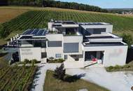 Weingut mit ca. 4 ha Weingärten im Südburgenland!