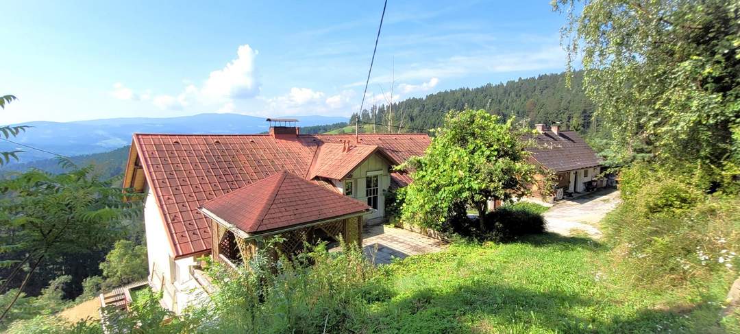 Alleinlage / Aussichtslage in Bärnbach: Landhaus + Einfamilienhaus + NG, 1.9 ha Wiese, 6.8 ha Wald