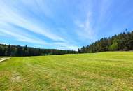 gepflegtes Einfamilienhaus mit Doppelgarage in sonniger Ruhelage