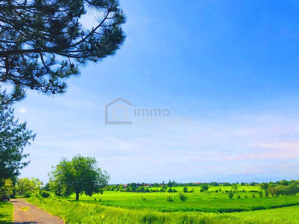 Baugrund 3 in Höhenlage am Naturschutzgebiet